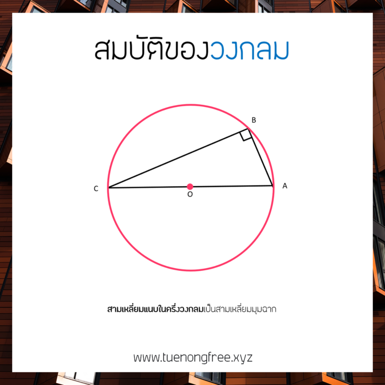 My Image 7