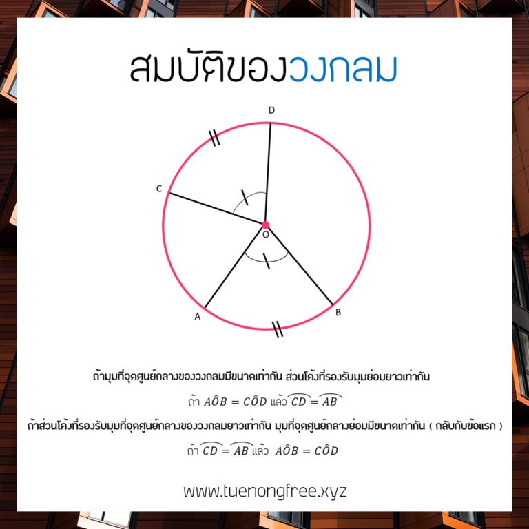 My Image 41